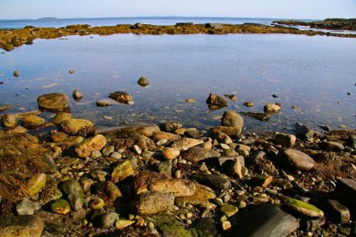 Rachel Carson Salt Pond Preserve
